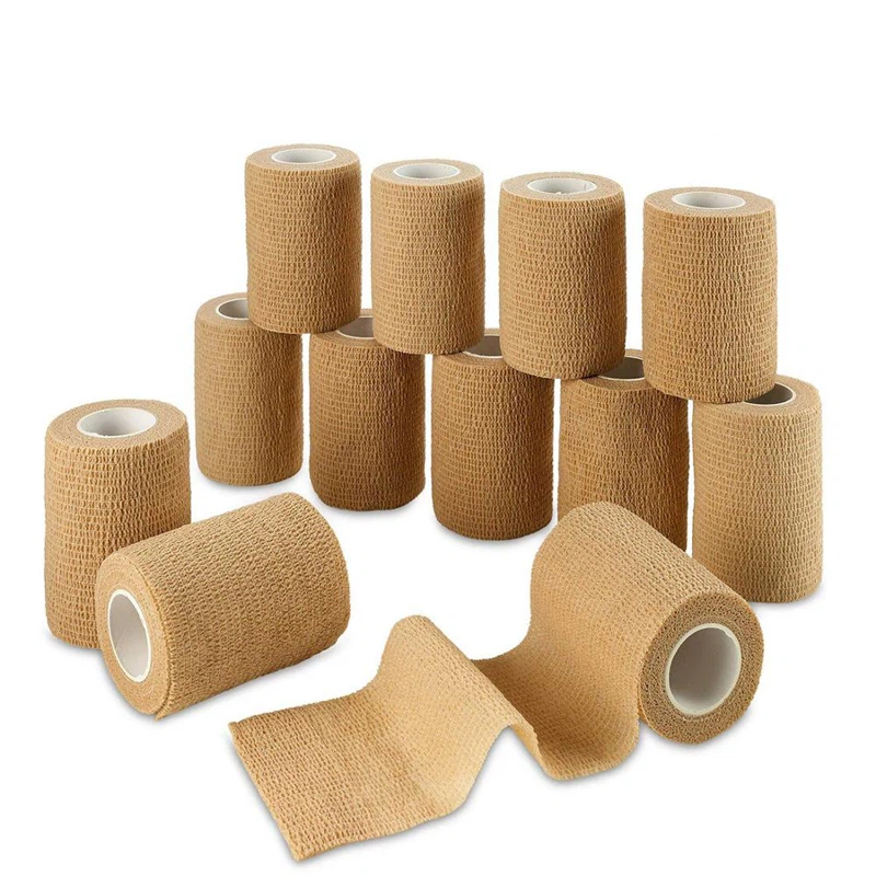 product-800-800 product-800-800